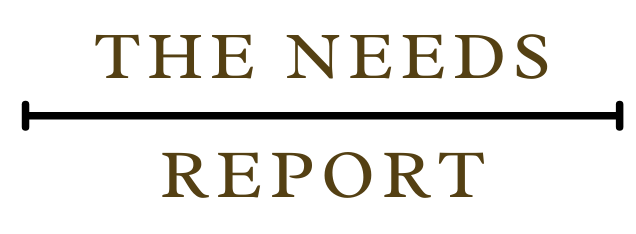 Needs Report Logo
